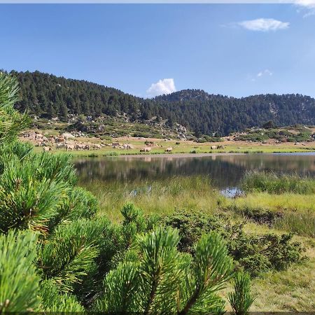 Residence Orazur - Appartement De Charme - 2 Chambres - Poele A Bois - 2 Balcons - Jardin - Parking - Internet - Linge Et Menage En Options Payantes Font-Romeu-Odeillo-Via 외부 사진