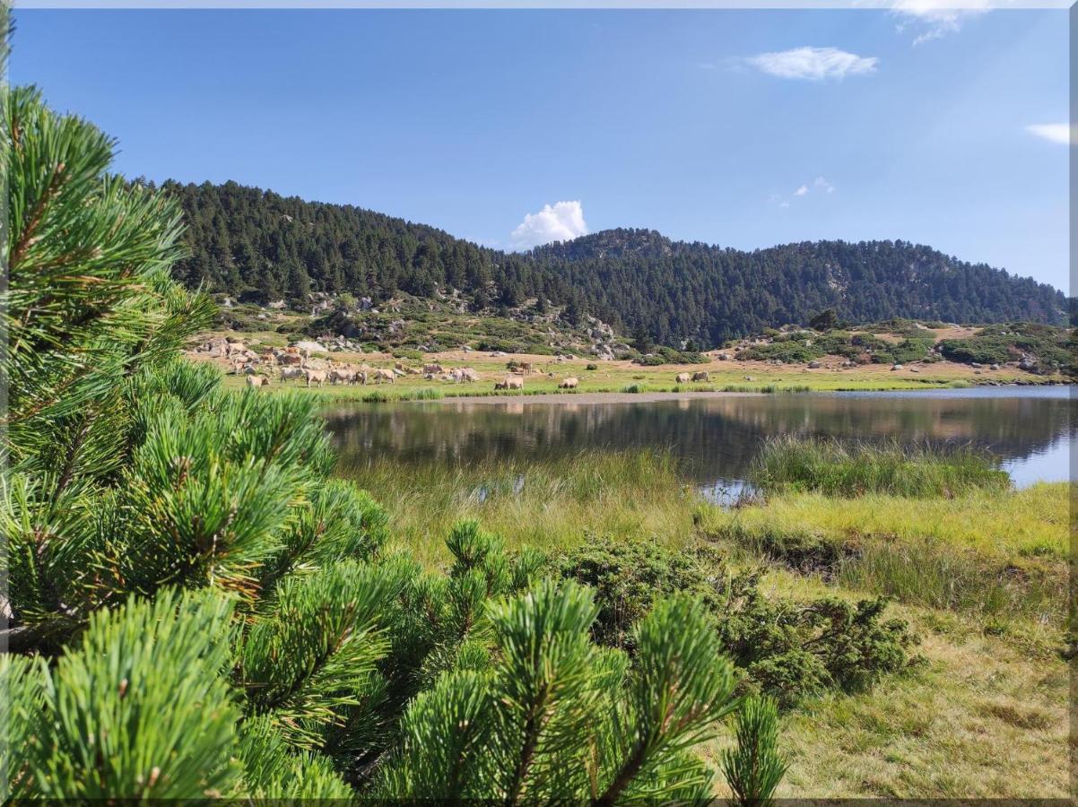 Residence Orazur - Appartement De Charme - 2 Chambres - Poele A Bois - 2 Balcons - Jardin - Parking - Internet - Linge Et Menage En Options Payantes Font-Romeu-Odeillo-Via 외부 사진